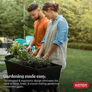 Keter Urban Bloomer Black Resin Raised Garden Kit 198.57 Devinchris  daphomegoods.com