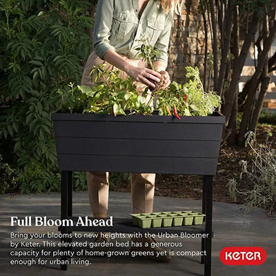 Keter Urban Bloomer Black Resin Raised Garden Kit 198.57 Devinchris  daphomegoods.com